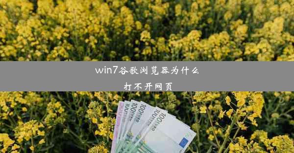 win7谷歌浏览器为什么打不开网页