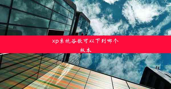 xp系统谷歌可以下到哪个版本