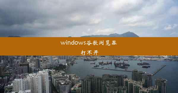 windows谷歌浏览器打不开