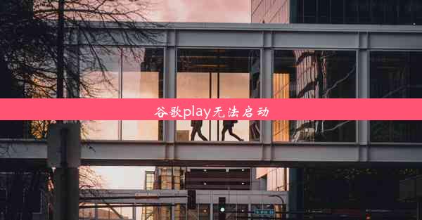 谷歌play无法启动