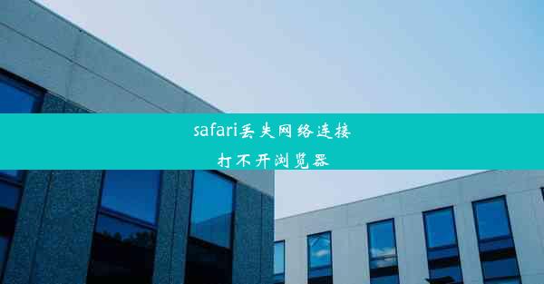 safari丢失网络连接打不开浏览器