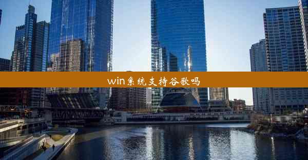 win系统支持谷歌吗