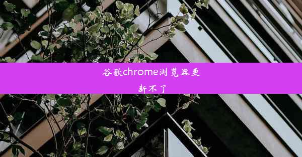 谷歌chrome浏览器更新不了