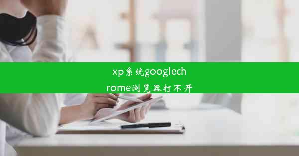 xp系统googlechrome浏览器打不开