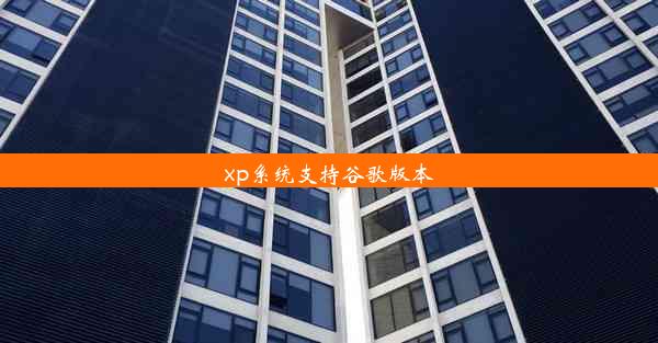 xp系统支持谷歌版本