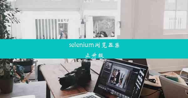 selenium浏览器禁止升级