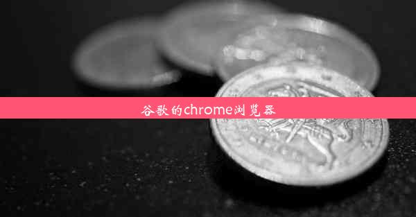 谷歌的chrome浏览器