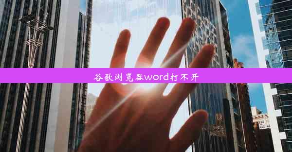 谷歌浏览器word打不开