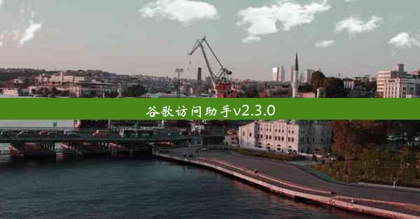 谷歌访问助手v2.3.0