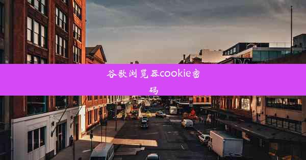 谷歌浏览器cookie密码