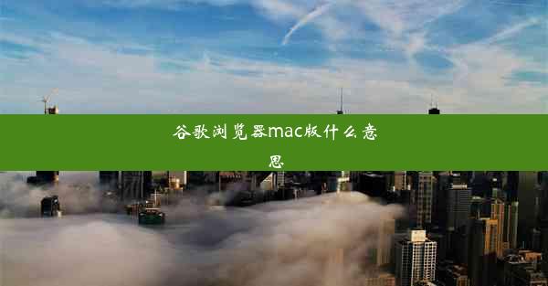 谷歌浏览器mac版什么意思