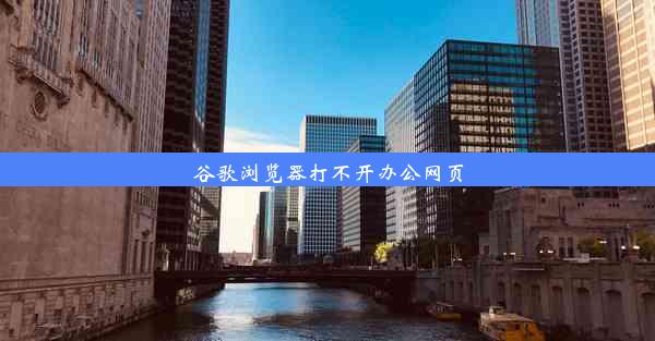 谷歌浏览器打不开办公网页