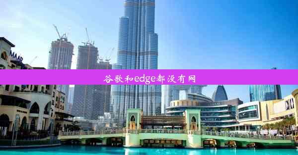 谷歌和edge都没有网