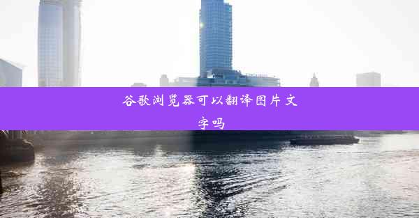 谷歌浏览器可以翻译图片文字吗