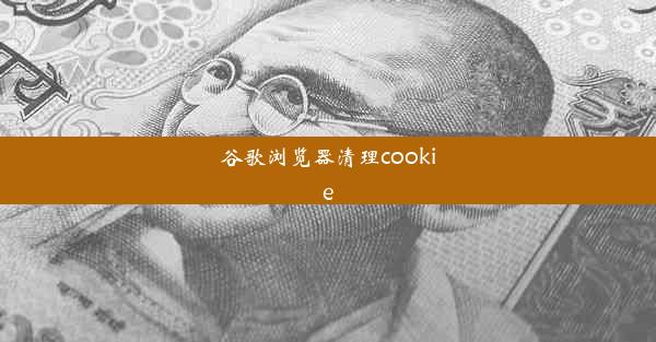 谷歌浏览器清理cookie