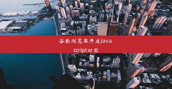 谷歌浏览器开启java script功能