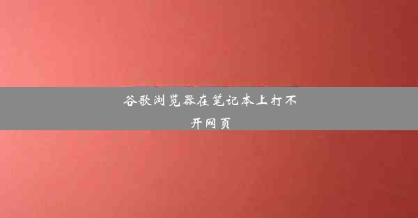 谷歌浏览器在笔记本上打不开网页