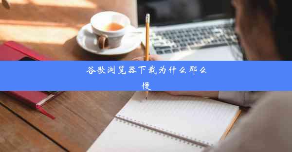 谷歌浏览器下载为什么那么慢