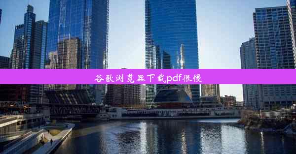 谷歌浏览器下载pdf很慢