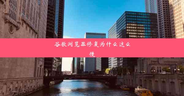 谷歌浏览器修复为什么这么慢