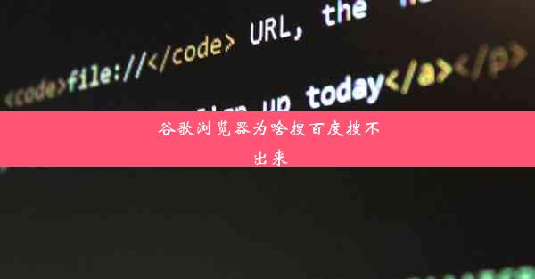 谷歌浏览器为啥搜百度搜不出来