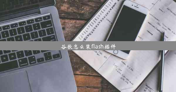 谷歌怎么装flash插件