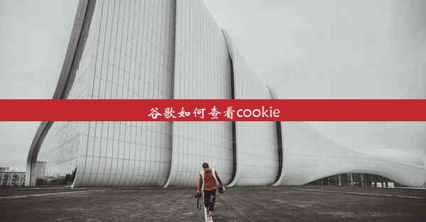 谷歌如何查看cookie