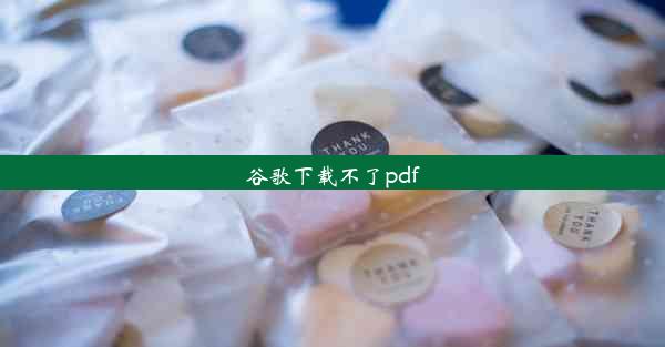 谷歌下载不了pdf