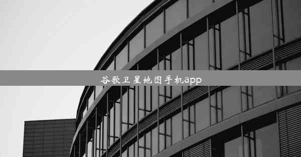 谷歌卫星地图手机app