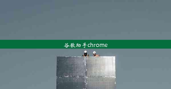 谷歌助手chrome