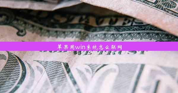 苹果用win系统怎么联网