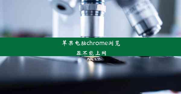 苹果电脑chrome浏览器不能上网