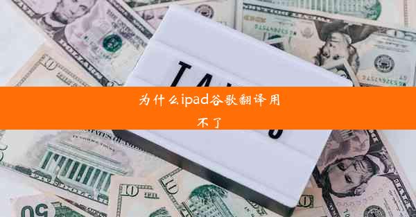 为什么ipad谷歌翻译用不了