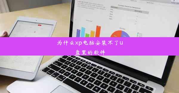 为什么xp电脑安装不了u盘里的软件