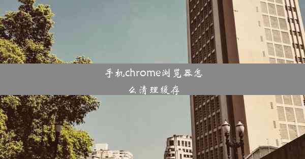 手机chrome浏览器怎么清理缓存