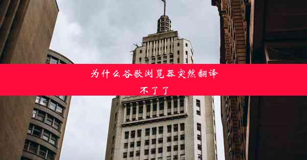 为什么谷歌浏览器突然翻译不了了