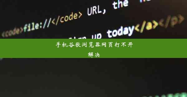 手机谷歌浏览器网页打不开解决