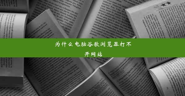 为什么电脑谷歌浏览器打不开网站