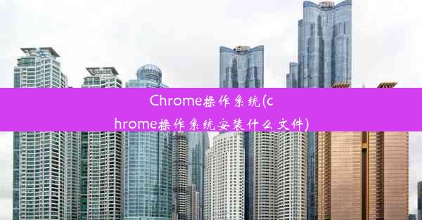 Chrome操作系统(chrome操作系统安装什么文件)