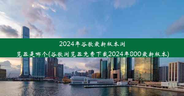 2024年谷歌最新版本浏览器是哪个(谷歌浏览器免费下载2024年800最新版本)