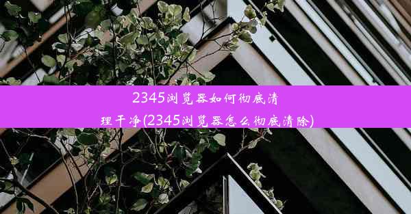 2345浏览器如何彻底清理干净(2345浏览器怎么彻底清除)