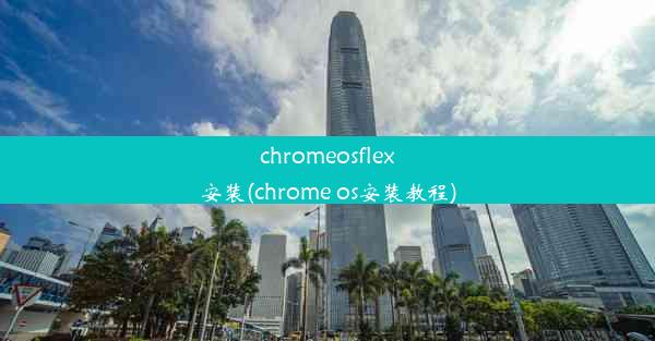 chromeosflex安装(chrome os安装教程)