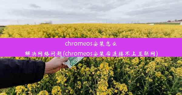 chromeos安装怎么解决网络问题(chromeos安装后连接不上互联网)