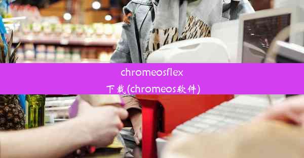 chromeosflex下载(chromeos软件)