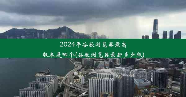 2024年谷歌浏览器最高版本是哪个(谷歌浏览器最新多少版)