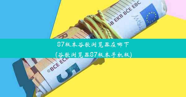 87版本谷歌浏览器在哪下(谷歌浏览器87版本手机版)