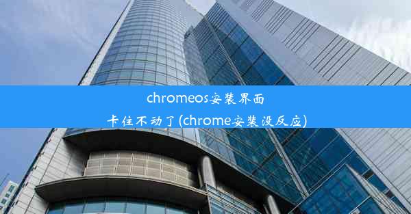 chromeos安装界面卡住不动了(chrome安装没反应)