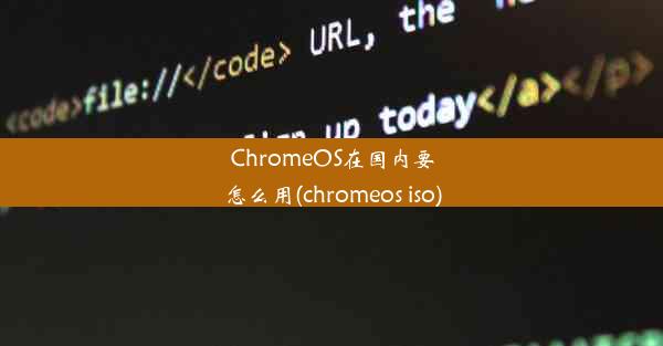 ChromeOS在国内要怎么用(chromeos iso)