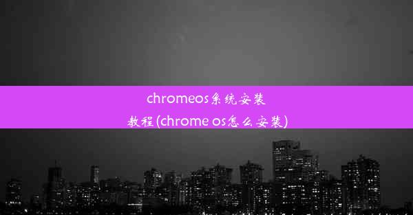 chromeos系统安装教程(chrome os怎么安装)