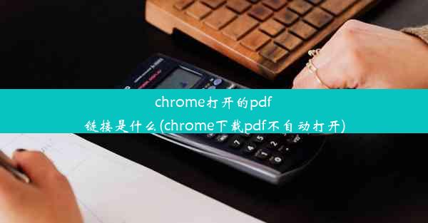 chrome打开的pdf链接是什么(chrome下载pdf不自动打开)